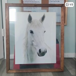 Framed White Horse Print